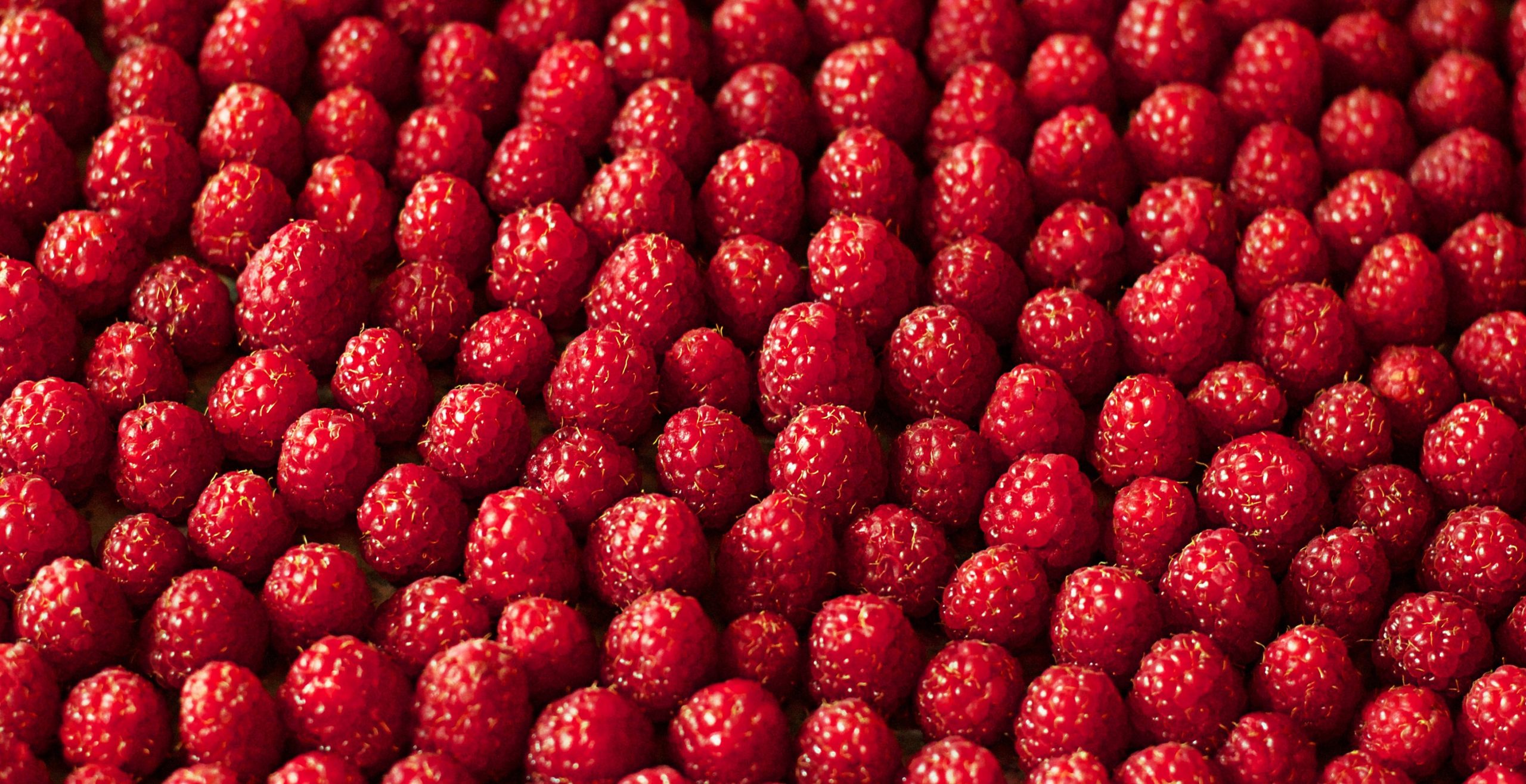 art-raspberry-image-horizontal